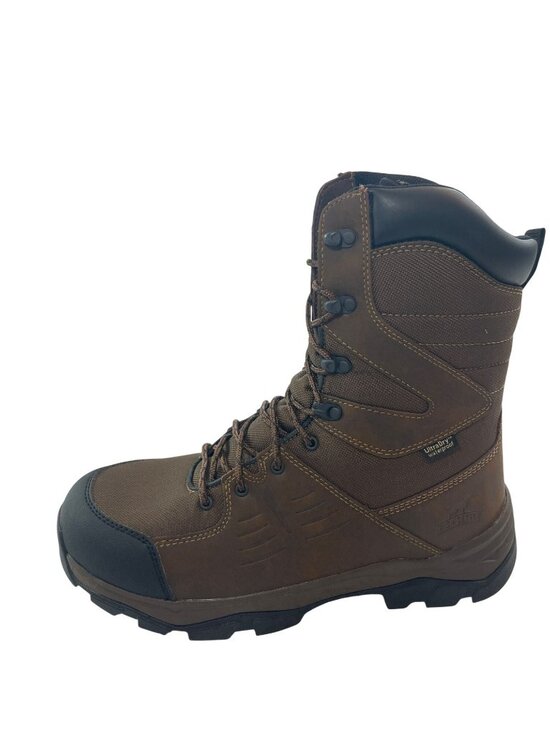Irish Setter 10\